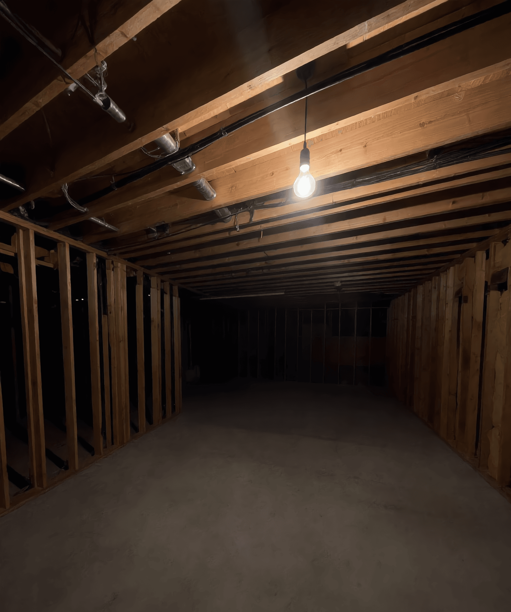 Basement Suite Build - Before