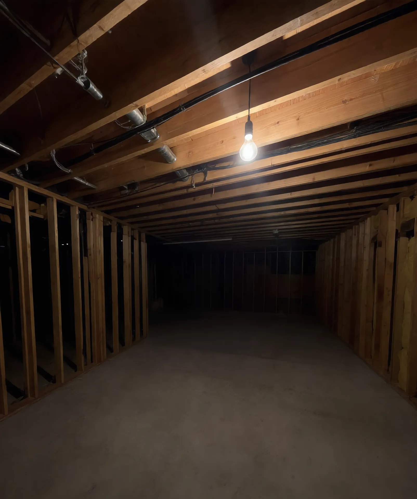 Basement Suite Build - Before